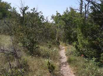 Trail Walking Aiguines - Sentier de l'imbut - Photo
