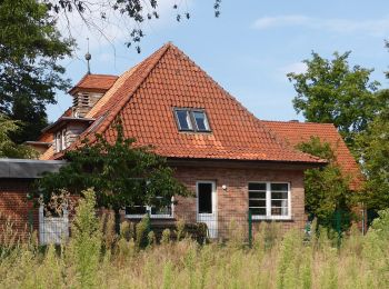 Randonnée A pied Sassenburg - Von Westerbeck zum Elbe-Seitenkanal - Photo