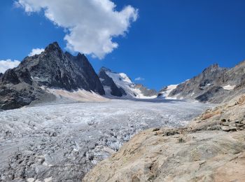 Randonnée Marche Vallouise-Pelvoux - le refuge glacier blanc et le point de vue sur la barre - Photo