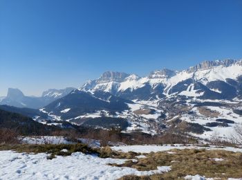 Tour Schneeschuhwandern Gresse-en-Vercors - Gresse en Vercors :pas du Serpaton-Rocher du Baconnet-Uclaire-pas du Bru - Photo