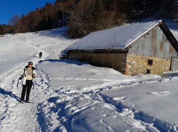 Tour Schneeschuhwandern Montcel - REVARD: PETIT TOUR DU PLATEAU EN RAQUETTES - Photo