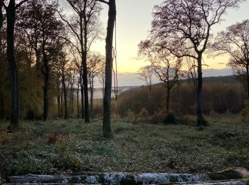 Tour Wandern Borey - Les patey - Photo