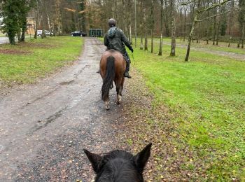Tocht Paardrijden Péruwelz - bon secours - Photo
