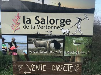 Tour Wandern Les Sables-d'Olonne - Rando du 25-01-2020 - Photo