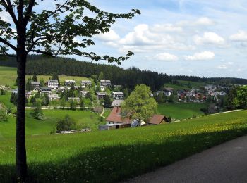 Randonnée A pied Furtwangen im Schwarzwald - Furtwangen - Escheck - Photo