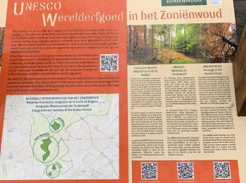 Trail Walking Hoeilaart - Groenendaal Ecoduc e Unesco - Photo
