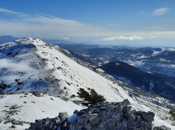 Tocht Sneeuwschoenen Gréolières - Greolieres - Photo