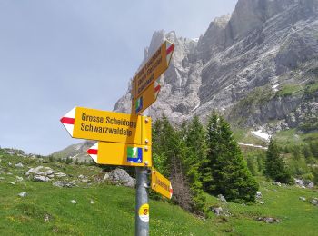 Tocht Te voet Grindelwald - CH-Abzweigung Gleckstein - Glecksteinhütte - Photo