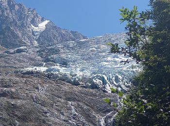 Tour Wandern Chamonix-Mont-Blanc - Chalet des Pyramides 1895m 11.7.22 - Photo