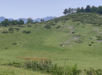 Excursión Carrera Eaux-Bonnes - GOURETTE  la cabane de Bouy  