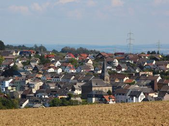 Randonnée A pied Laurenburg - Burgweg - Photo