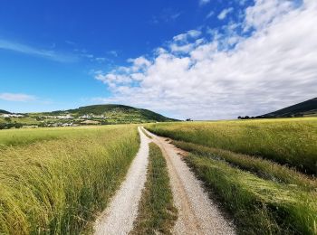 Trail On foot Foligno - Perimetro Palude di Colfiorito - Photo