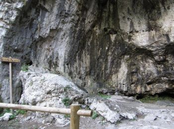 Randonnée A pied Valbrenta - Oliero di Sotto - Le Pozzette - Col d'Astiago - Photo