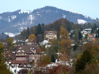 Tocht Te voet Wald (ZH) - Wald - Bannholz - Photo