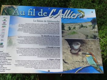 Randonnée Marche Cournon-d'Auvergne -   Cournon (Malmouche , le Pont de Dallet) - Photo