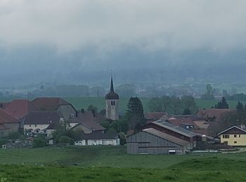 Percorso Marcia Frasne - Frasne  - Photo