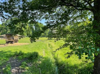 Trail On foot Halbe - Rundwanderweg (Halbe-Semmelei...) - Photo