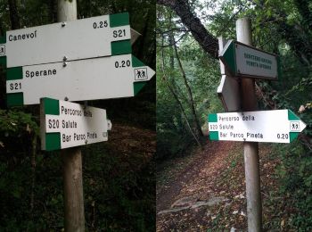 Trail On foot Caprino Veronese - IT-S30 - Photo