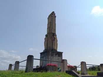 Excursión Senderismo Laines-aux-Bois - Laines Aux Bois - Photo