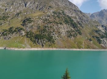 Excursión A pie Valbondione - 306: Lizzola - Rifugio Curò - Photo