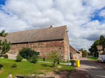 Tour Zu Fuß Wettin-Löbejün - Geologischer Wanderweg Wettin - Photo