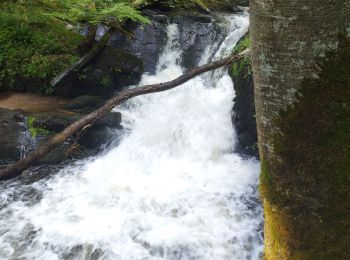 Tour Wandern Ferrières-sur-Sichon - Grotte des fées y cascade  - Photo