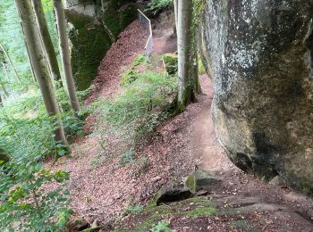 Trail Walking Ernzen - Balade Ernzen Allemagne  - Photo
