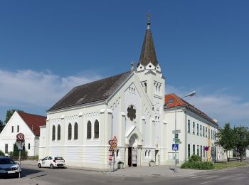 Tocht Te voet Gemeinde Wolkersdorf im Weinviertel - Wein- und Kulturwanderweg - Photo