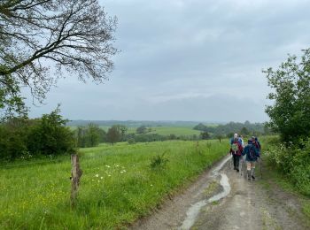 Trail Walking Somme-Leuze - Moressee - Photo