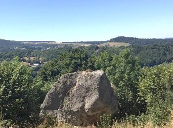 Tour Wandern Rochefort-Montagne - Rochefort_Roche_Branlante - Photo