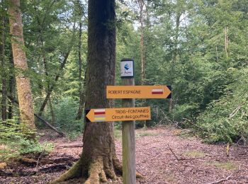 Trail Walking Trois-Fontaines-l'Abbaye - Trois Fontaines  - Photo