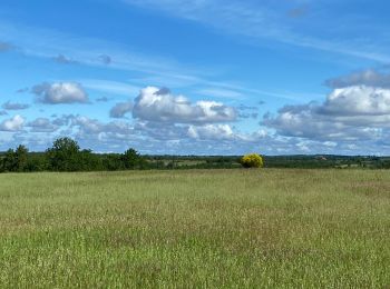 Tour Wandern Lhospitalet - L’Hospitalet - Photo