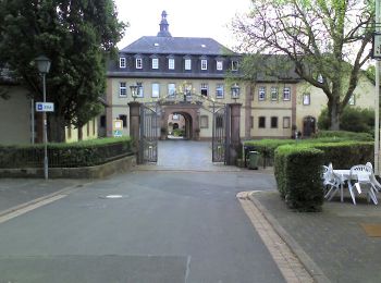 Percorso A piedi Birstein - Freihölzer Weg - Photo