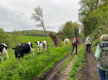 Trail Walking Ottignies-Louvain-la-Neuve - #240412 - 3 bois : de Bustons, des Corbeaux et des Volontaires (courte) - Photo