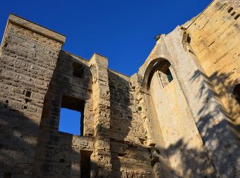 Tour Wandern Palavas-les-Flots - Palavas-les-flots à Cathédrale St Pierre Maguelone et retour - Photo