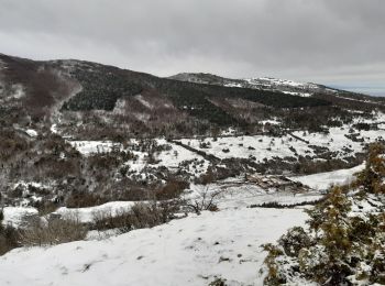 Randonnée Marche Gigors-et-Lozeron - la rivière.gigors.lozeron. - Photo