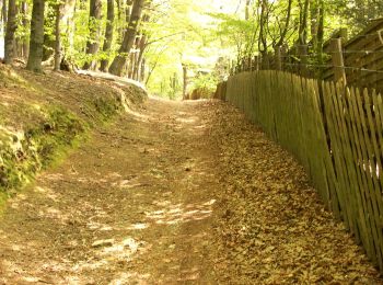 Trail On foot Steinhagen - A7 - Quellental - Photo