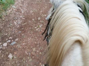 Trail Horseback riding Écromagny - maison  laititia  - Photo