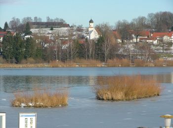 Percorso A piedi  - Illerstauseerunde - Photo