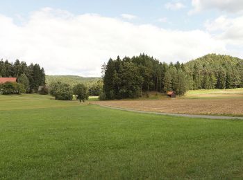 Tour Zu Fuß Hirschbach - Eschenfelden Rundweg 4 - Photo