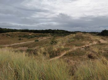 Randonnée Marche Saint-Jean-de-Monts - Du chemin de la Mare à la plage des salins - Photo