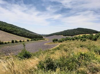 Tour Wandern Les Omergues - Saint André de villeseche. la pyramide du moine  - Photo