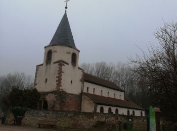 Randonnée Marche Molsheim - Molsheim bruche  - Photo