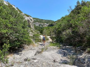 Trail Walking Poulx - La Baume depuis Proulx - Photo