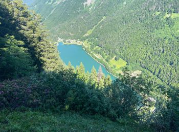 Trail Walking Morzine - Joue verte Montriond - Photo