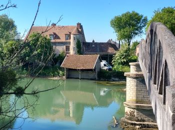 Excursión Bici de carretera Nogent-sur-Seine - EXT65 Nogent sur Seine-01 - Photo