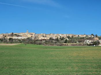 Tour Wandern Puimoisson - 2024-03-12 Puimoisson Aventure - Photo