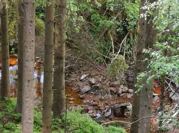 Percorso Marcia Malmedy - Canyon des Trôs-Marets   - Photo