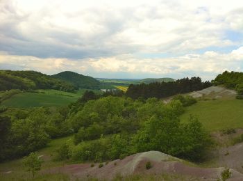 Tocht Te voet Arnstadt - Otto-Knöpfer-Weg - Photo