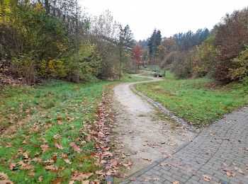 Trail On foot Unknown - Trier Wanderweg T3 (Weißhausbrunnen) - Photo